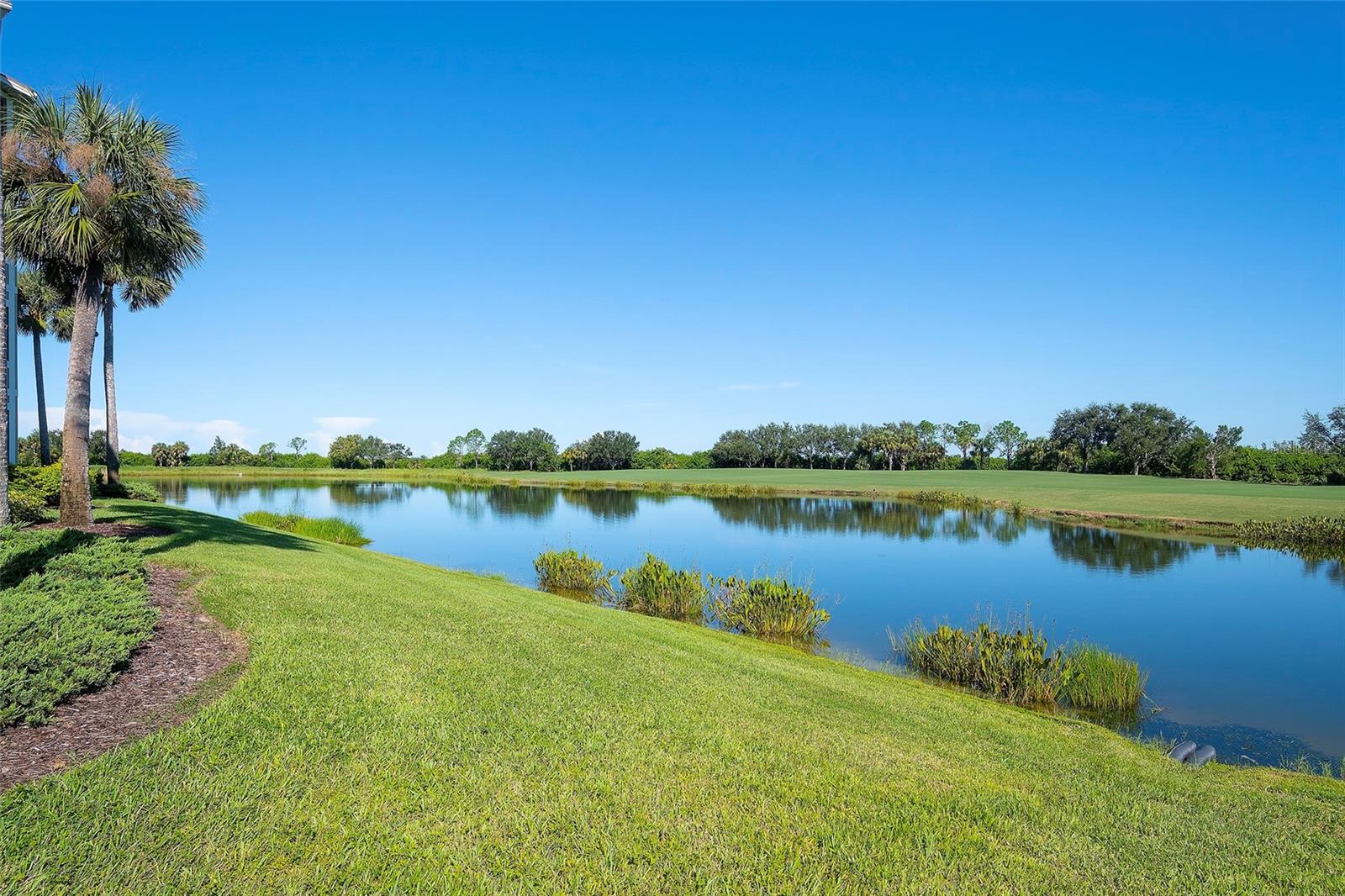 Image 21 of 41 For 7121 River Hammock Drive 303