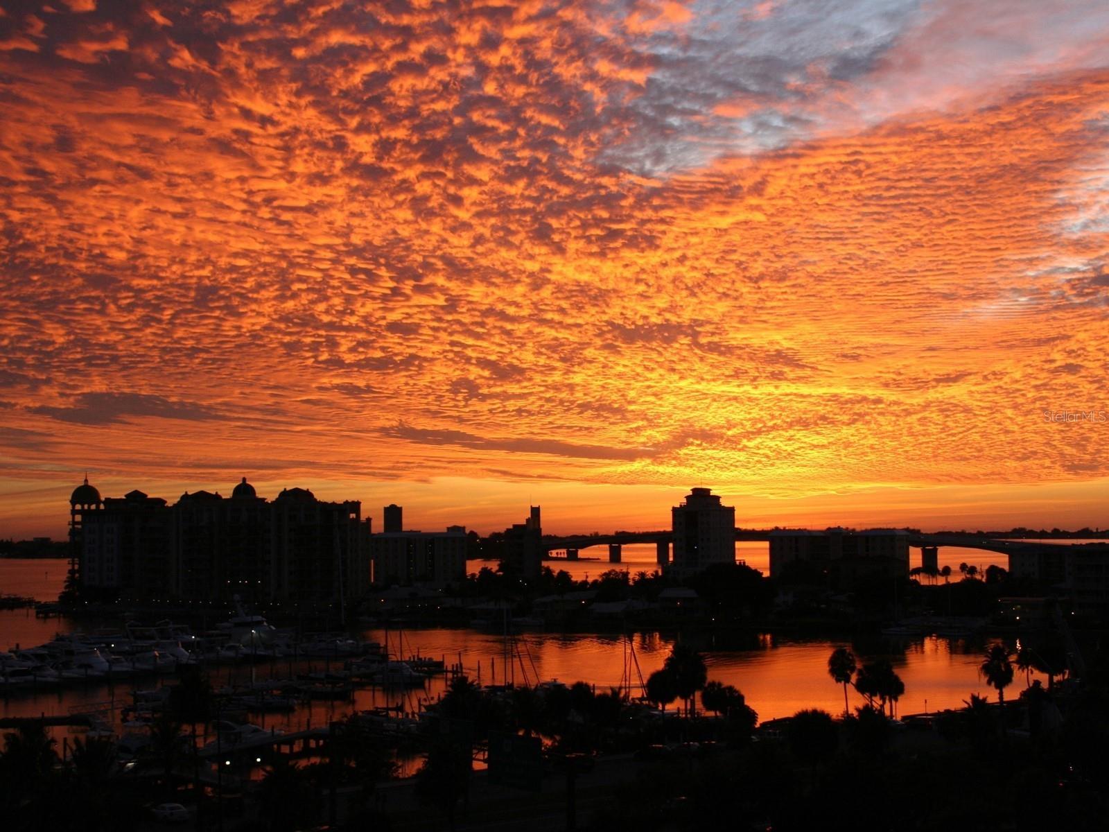 Image 88 of 100 For 1255 Gulfstream Avenue 204