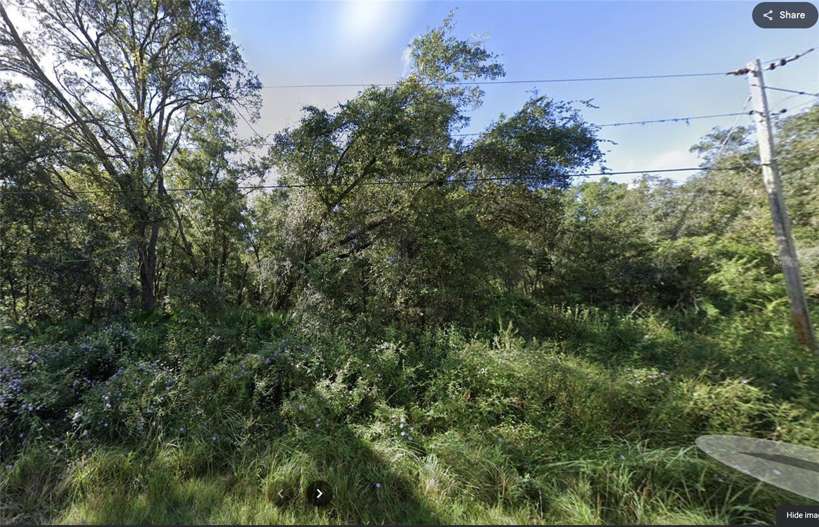 Image 5 of 14 For 13016 Catalona Avenue