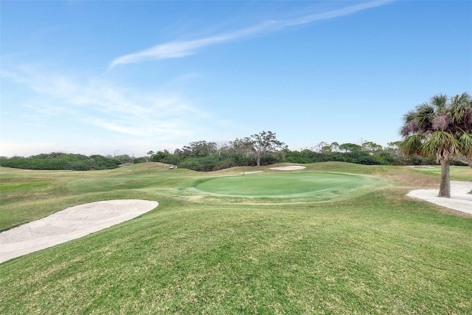 Image 7 of 67 For 7270 Alicante Drive 3