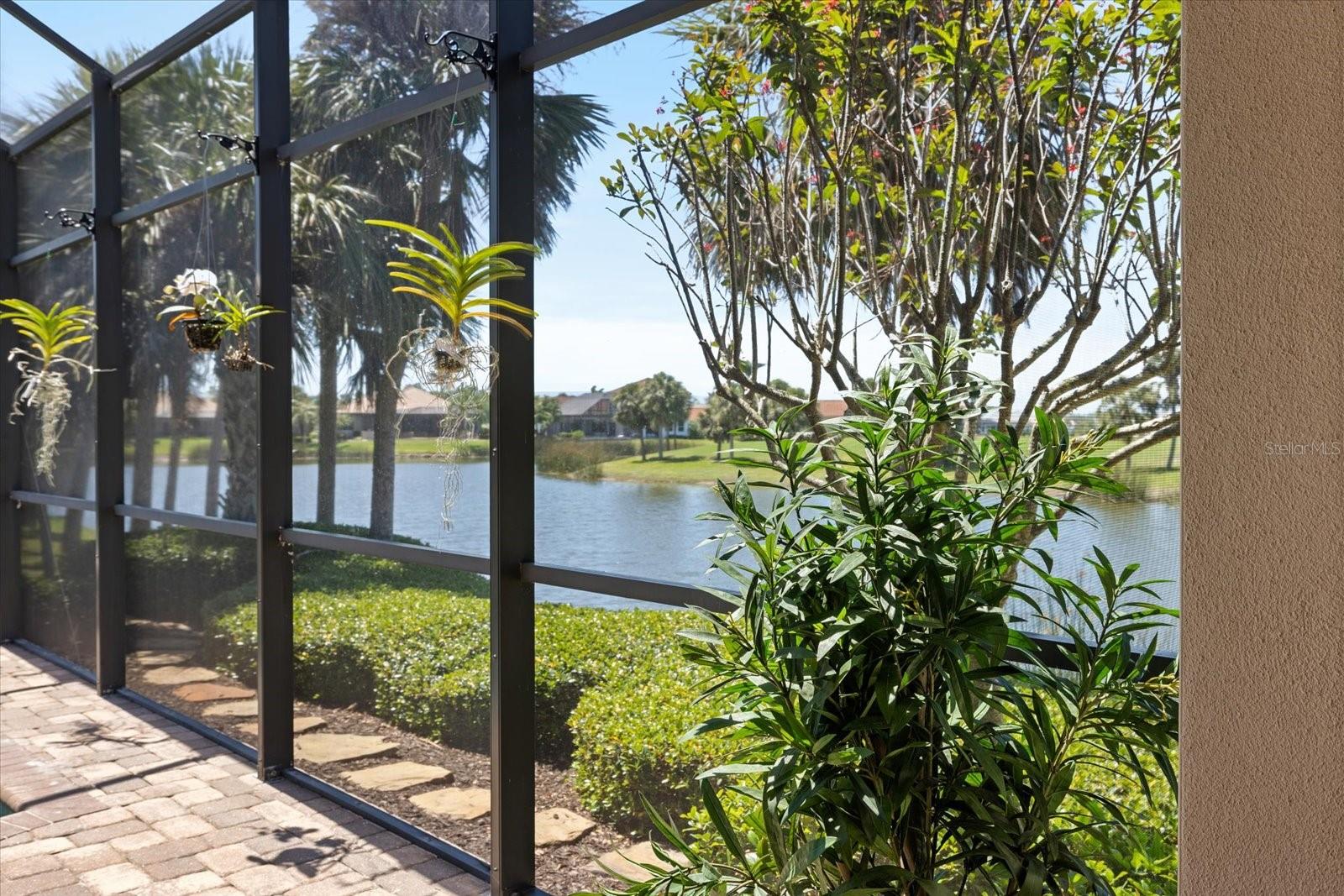 Image 26 of 80 For 26725 Raphis Royale Boulevard