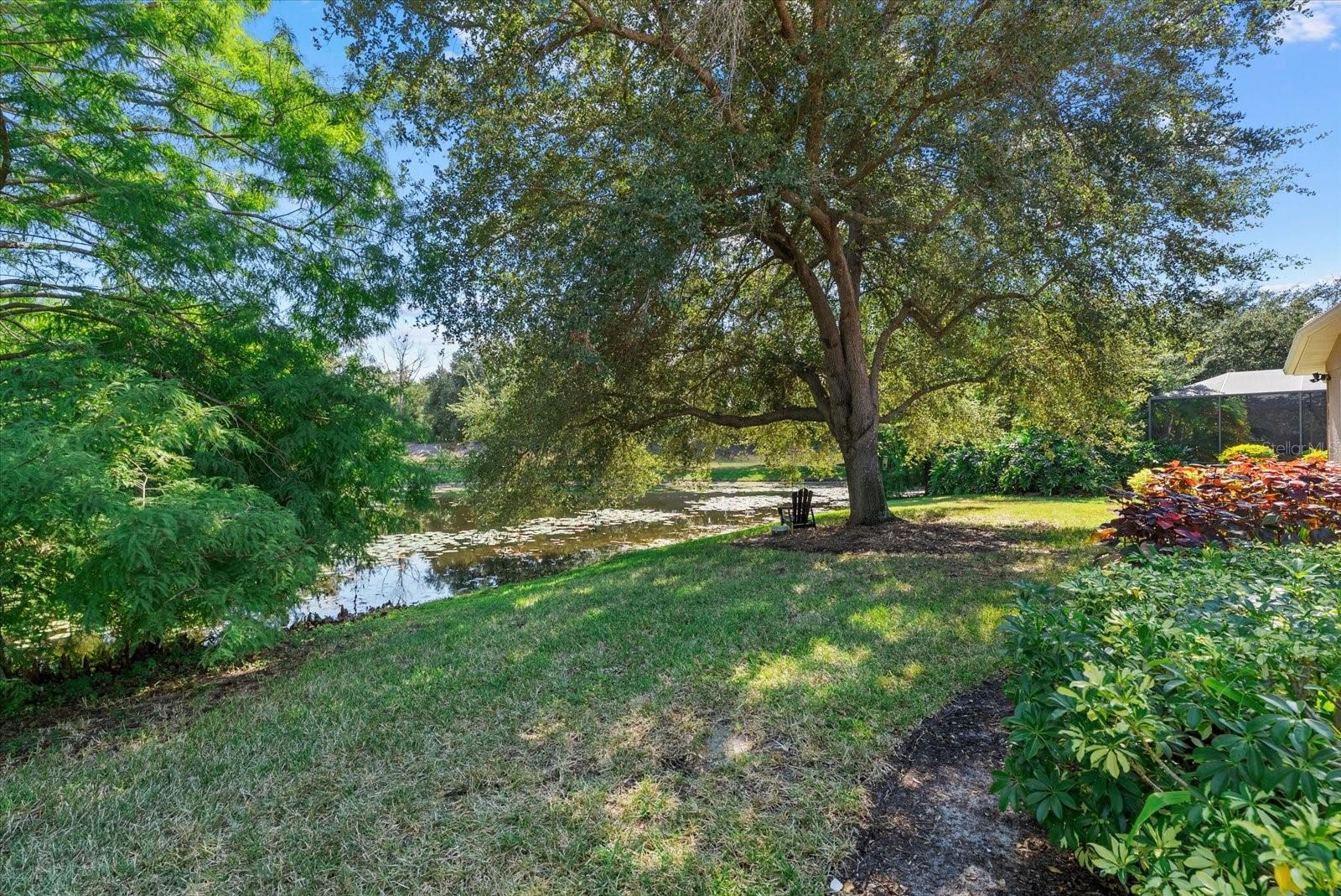 Image 65 of 79 For 13876 Siena Loop