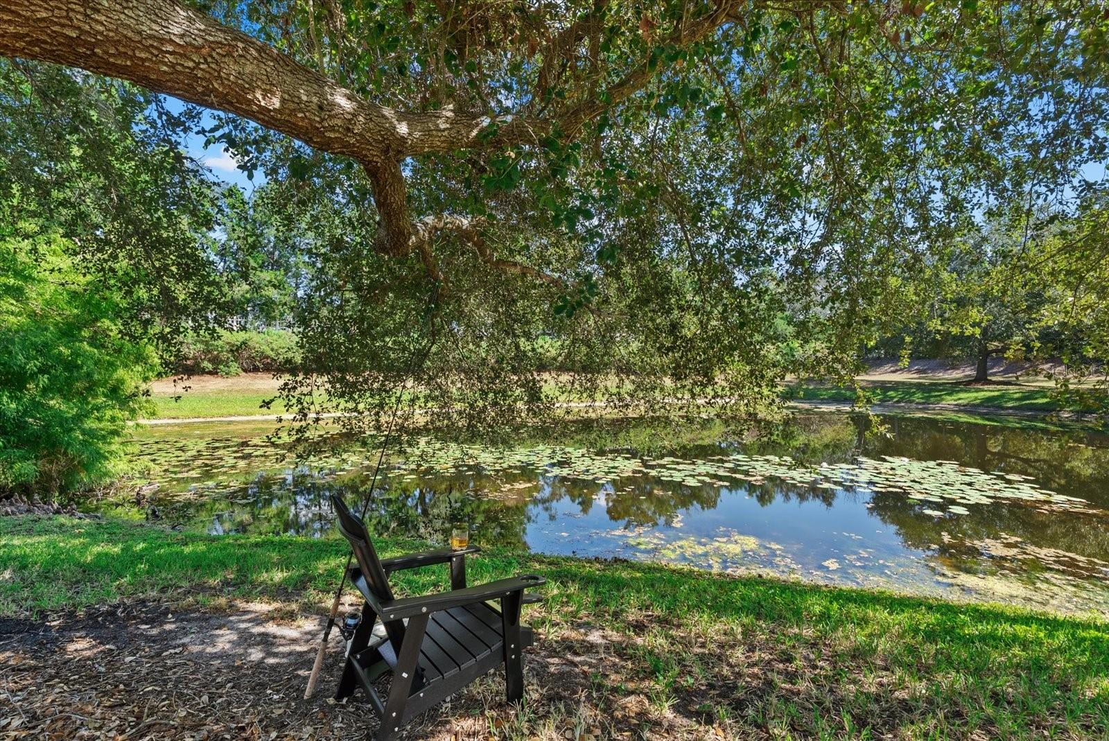 Image 66 of 79 For 13876 Siena Loop