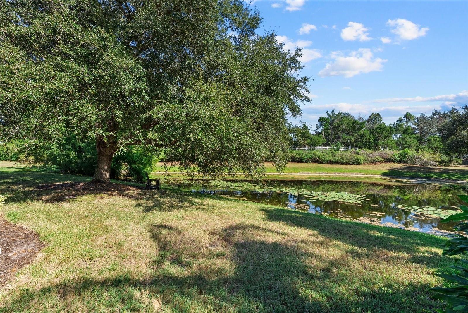 Image 67 of 79 For 13876 Siena Loop