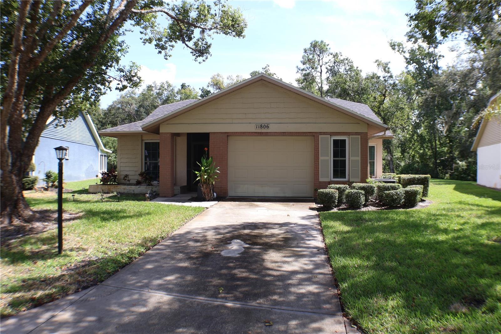 Details for 11806 White Ash Drive, NEW PORT RICHEY, FL 34654