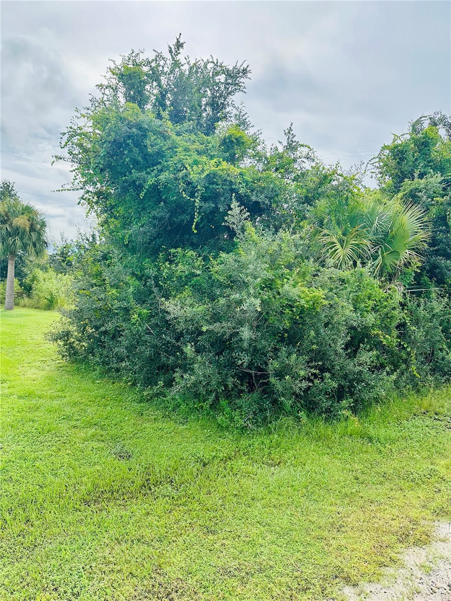 Image 2 of 5 For 6360 Brookridge Street