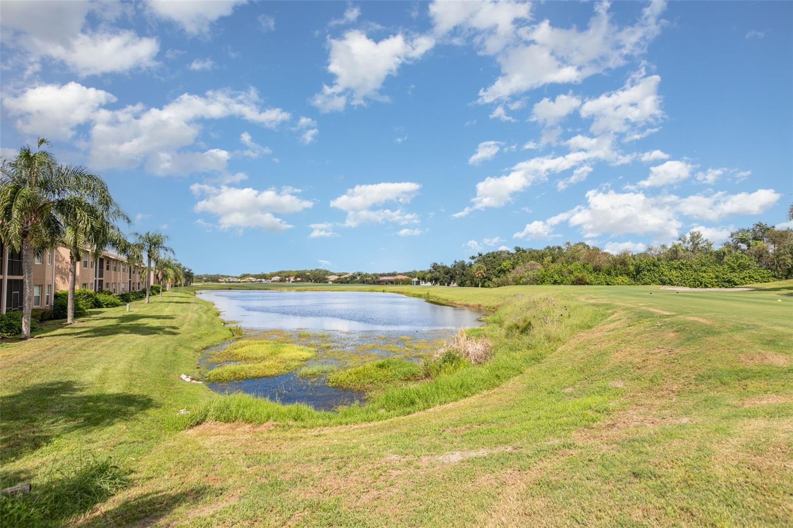 Image 65 of 66 For 1011 Fairwaycove Lane 201