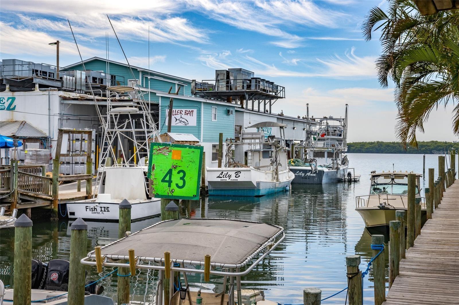 Image 94 of 96 For 4337 Saltwater Pearl Way