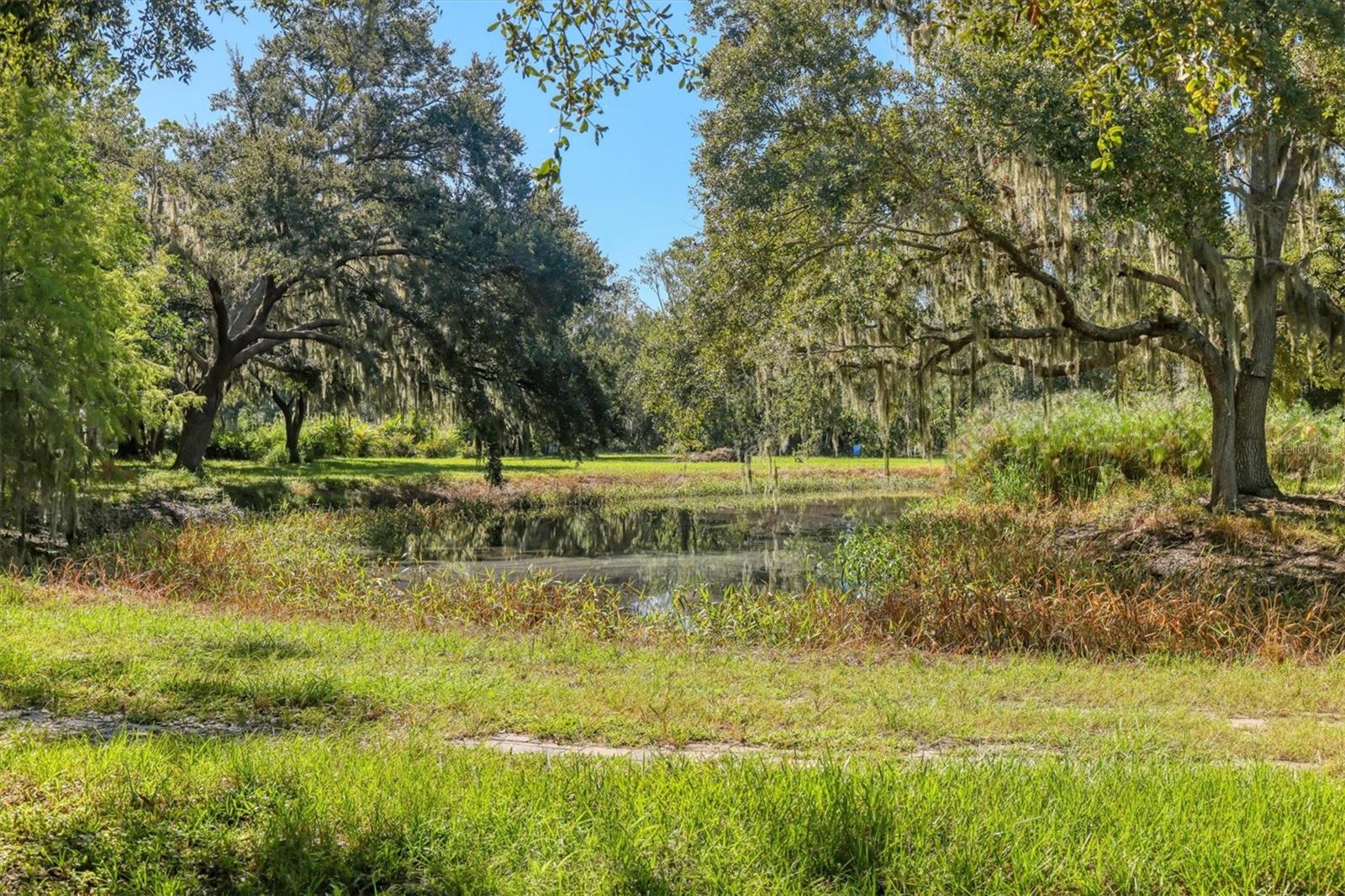 Image 38 of 55 For 2230 Myakka Road