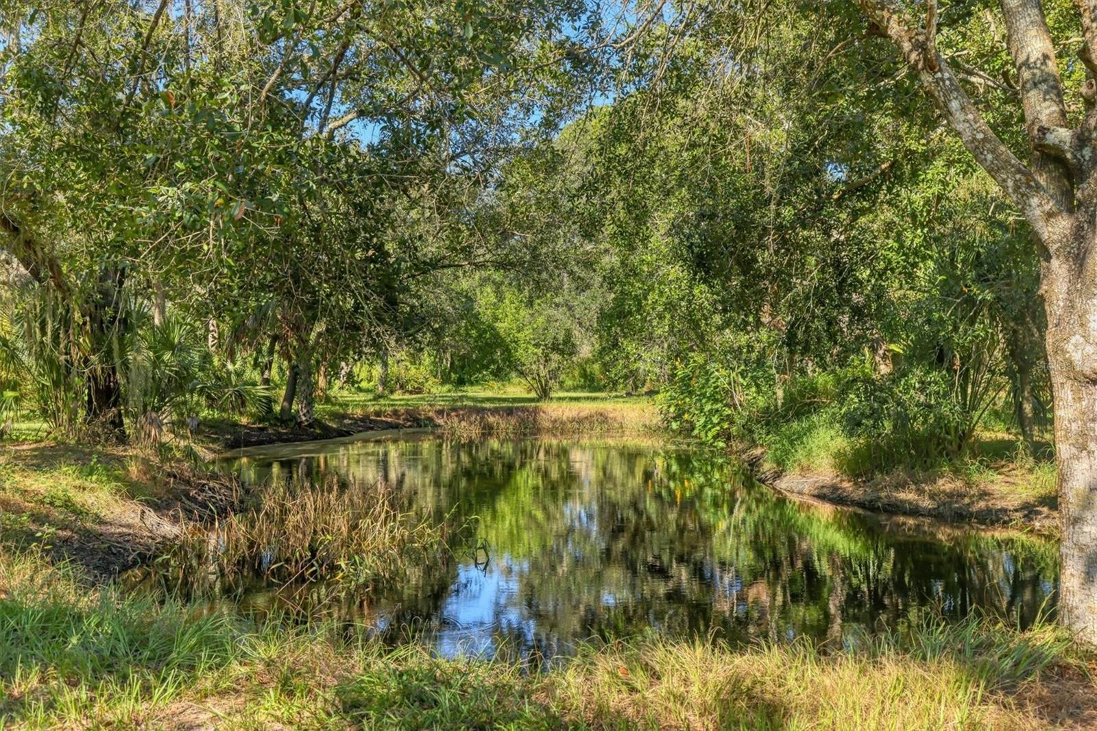 Image 39 of 55 For 2230 Myakka Road