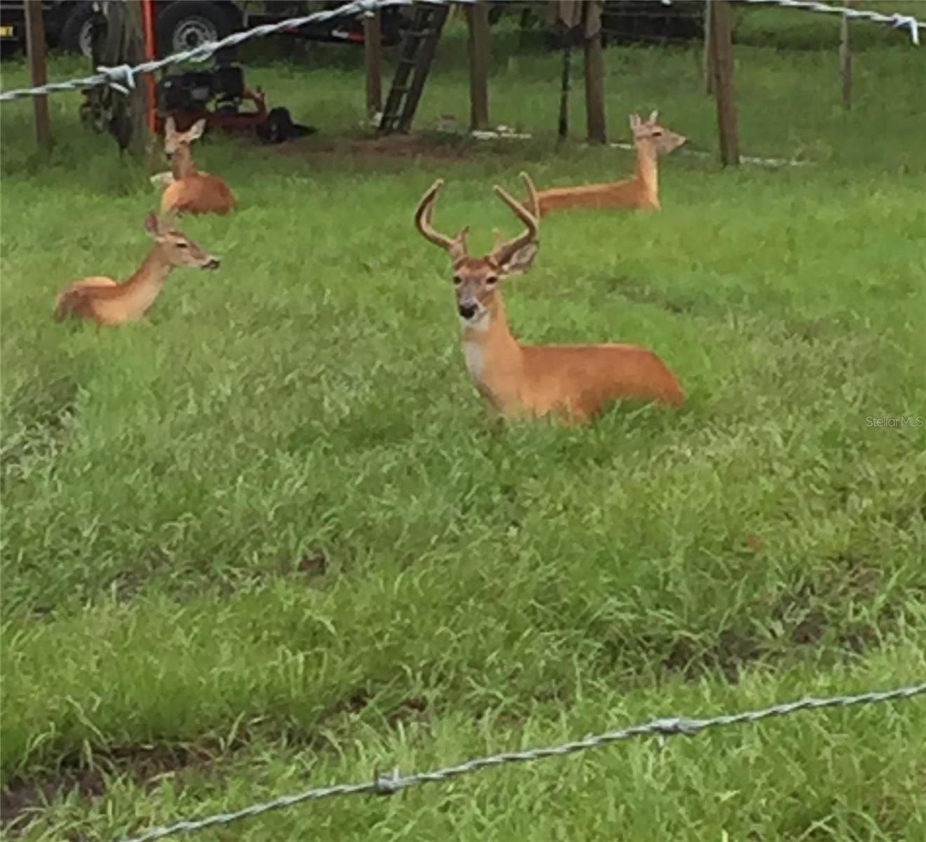 Image 46 of 55 For 2230 Myakka Road