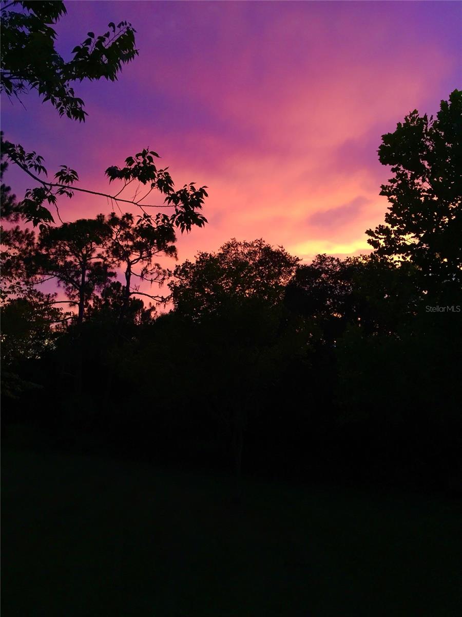 Image 47 of 55 For 2230 Myakka Road