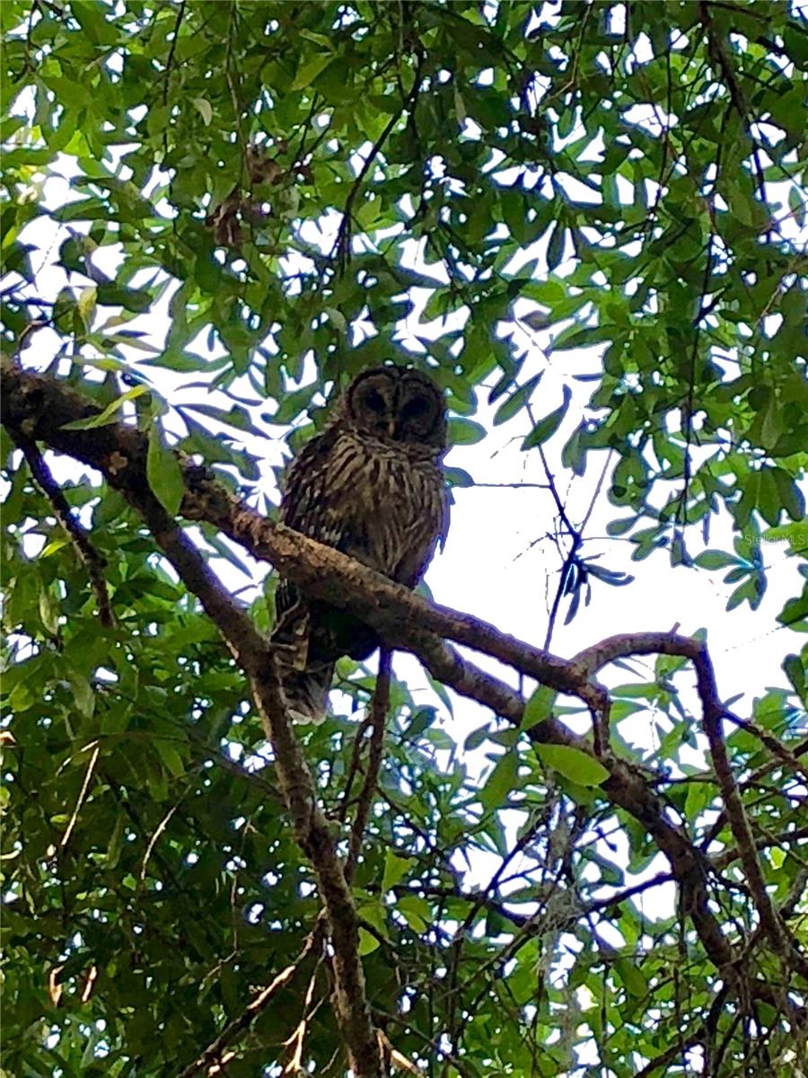 Image 48 of 55 For 2230 Myakka Road