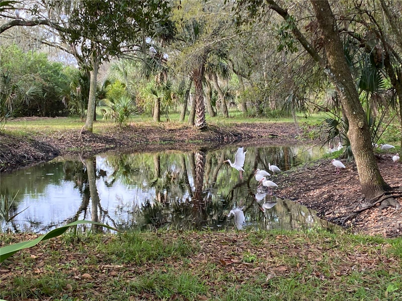 Image 50 of 55 For 2230 Myakka Road