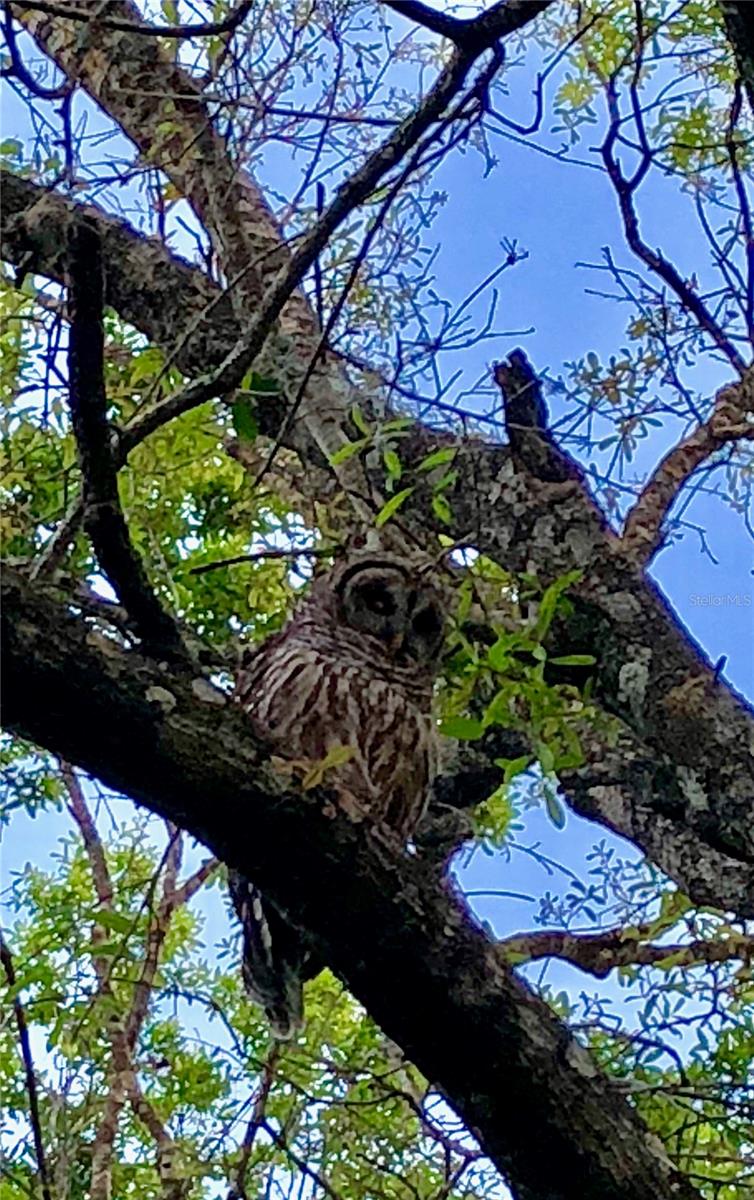 Image 55 of 55 For 2230 Myakka Road