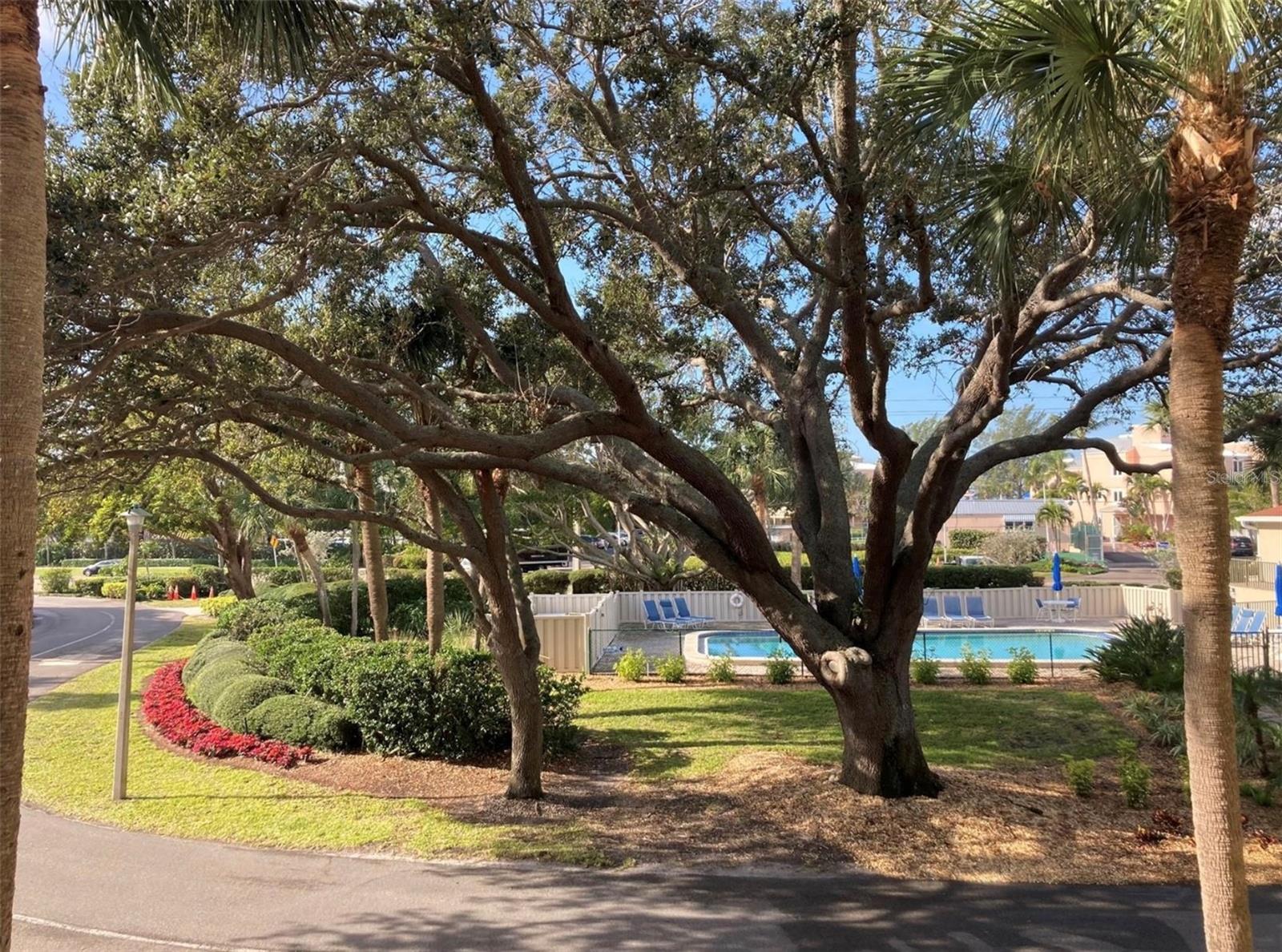 Image 35 of 61 For 4600 Gulf Of Mexico Drive 206