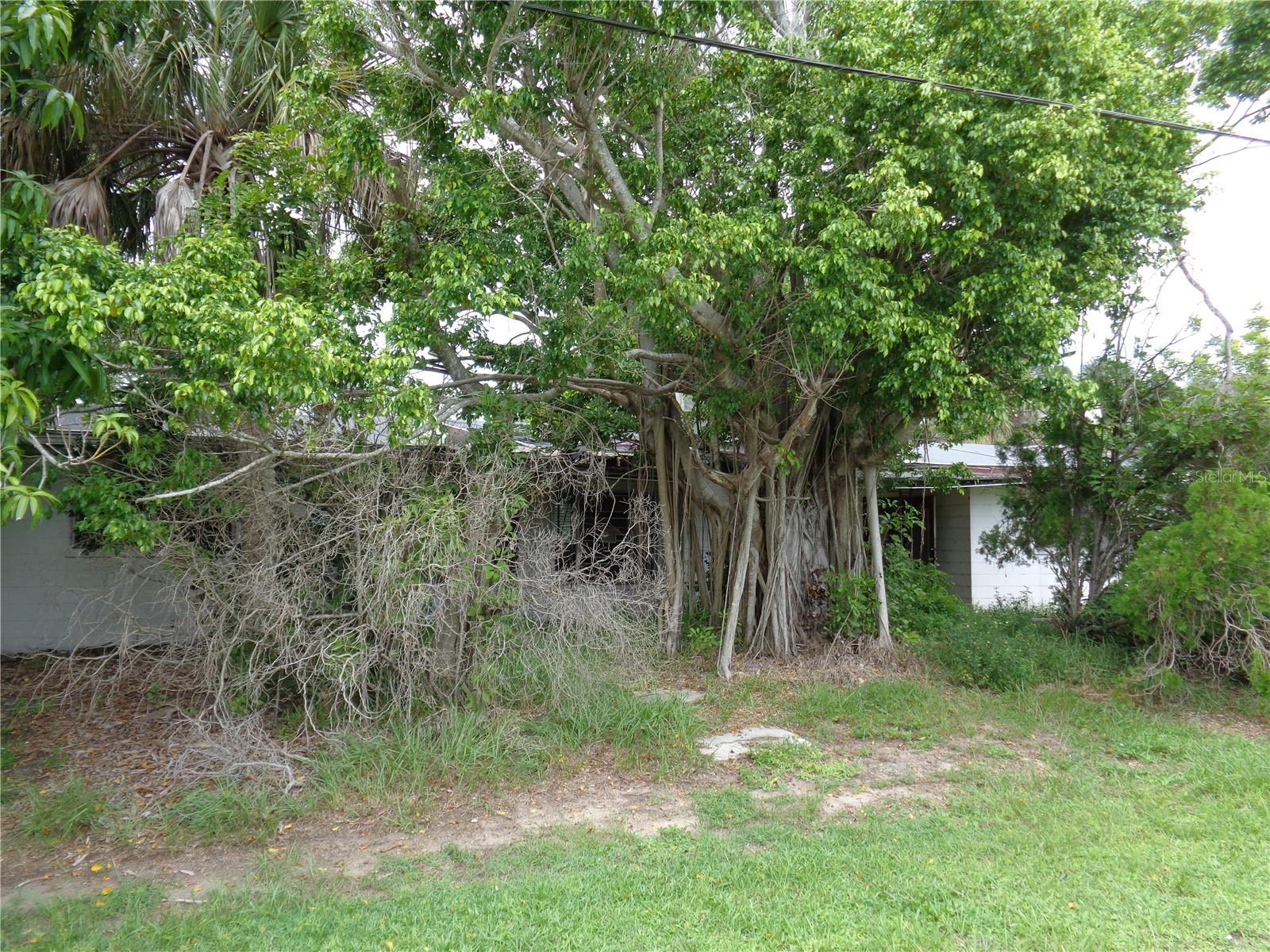Image 14 of 30 For 111 Riverview Drive S