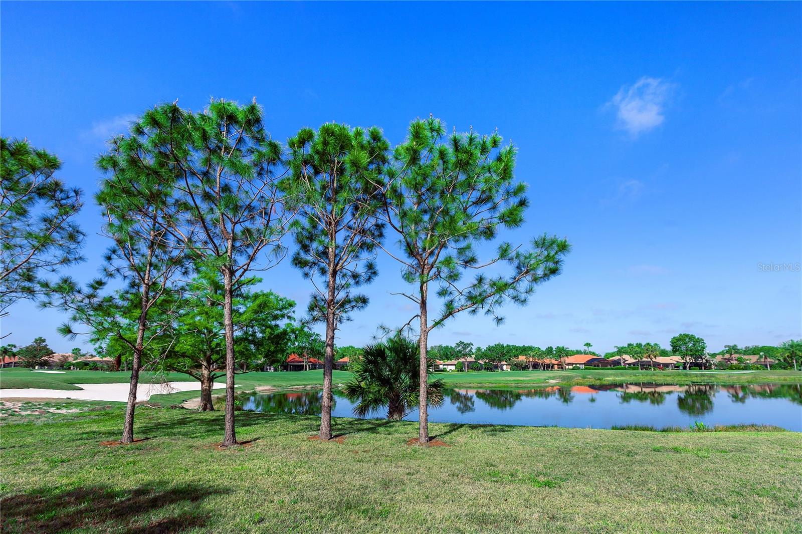Image 16 of 50 For 8142 Miramar Way 8142