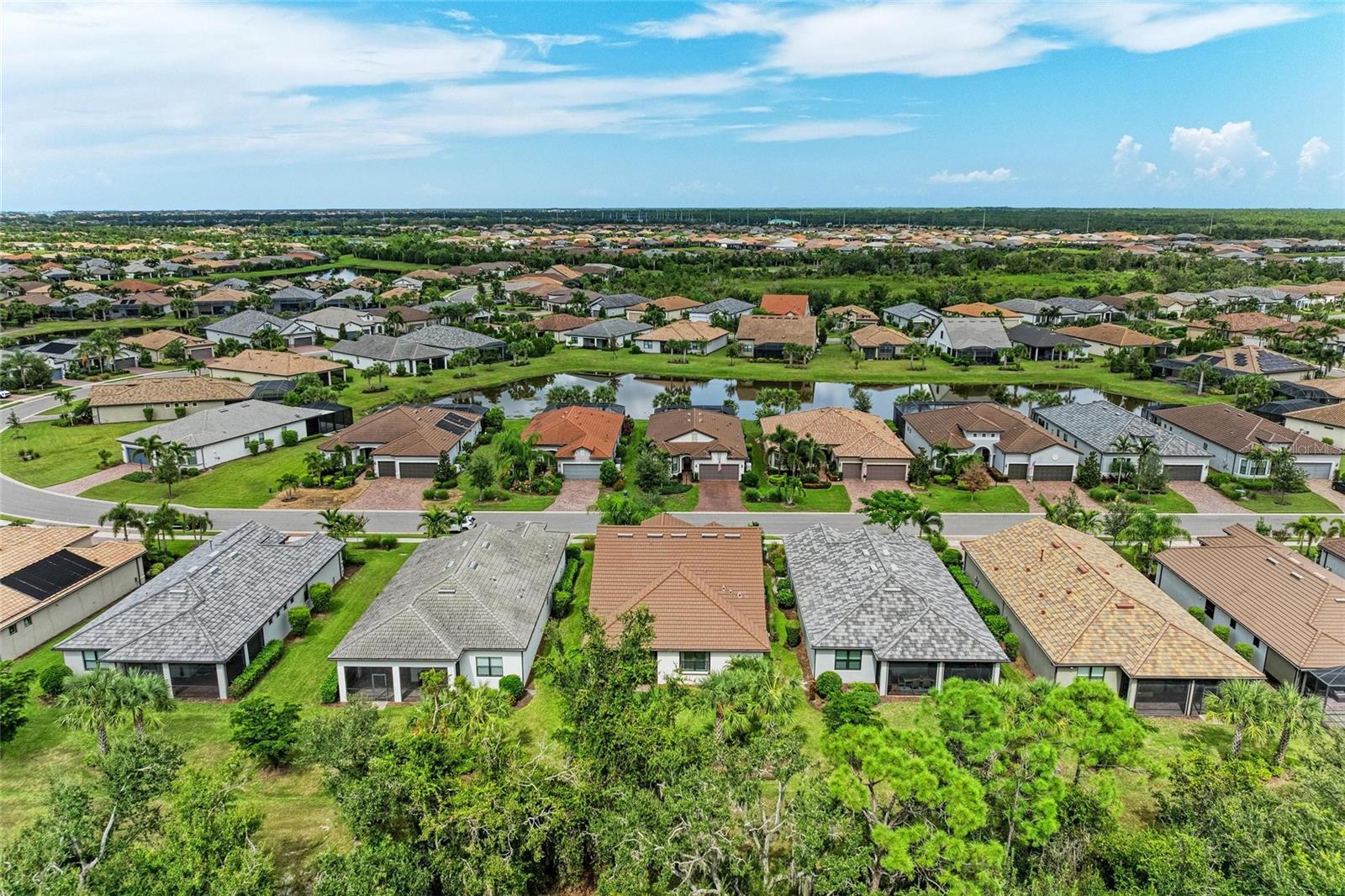 Image 4 of 66 For 7572 Viola Loop