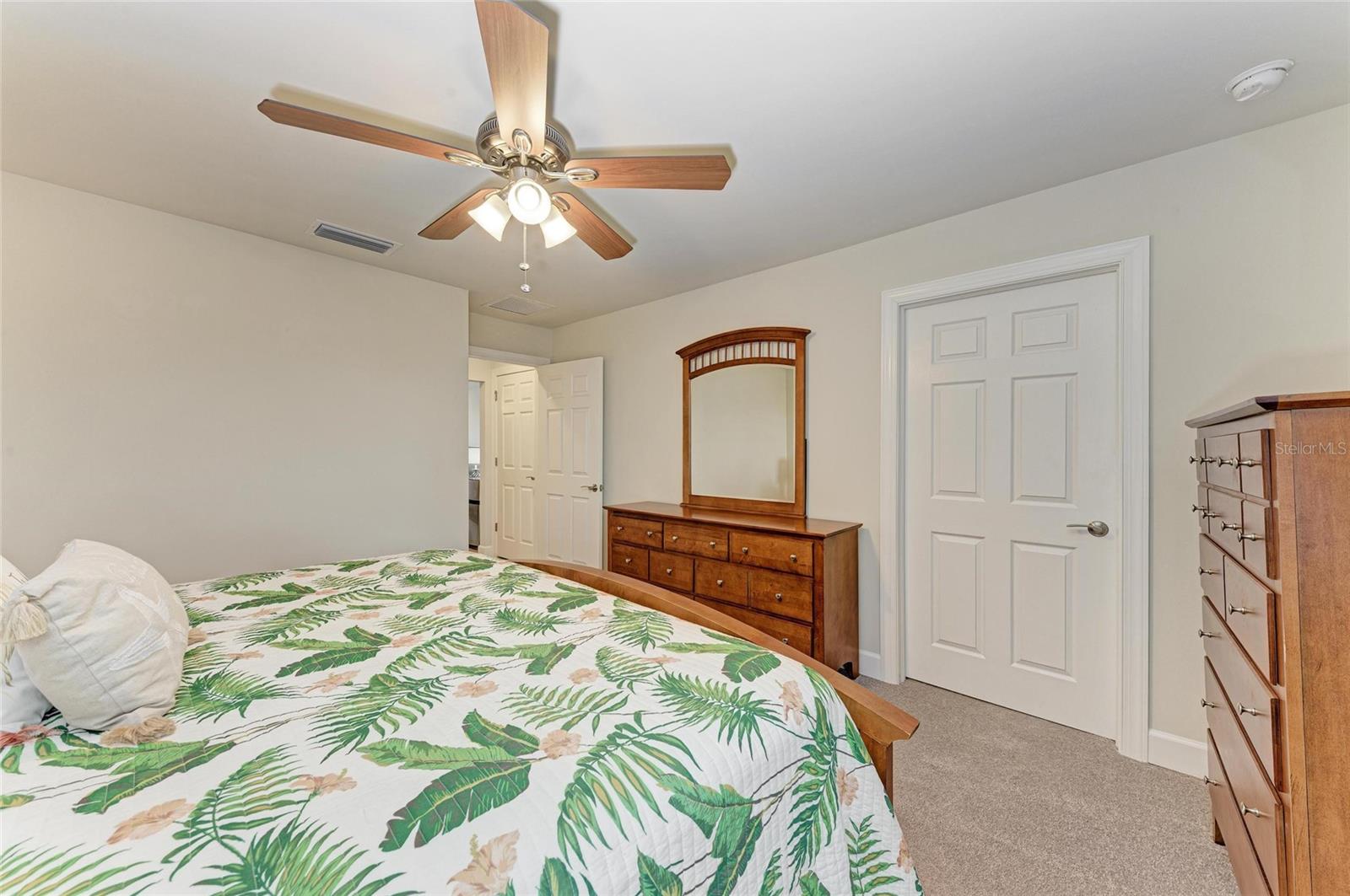 Image 41 of 66 For 7572 Viola Loop