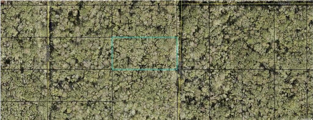 Details for 21-10-28-2775-00050-0177 Ruth Avenue, HASTINGS, FL 32145