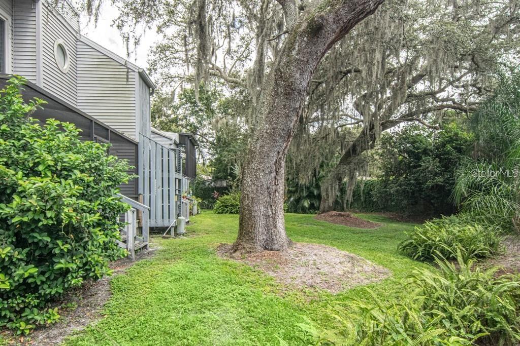 Image 44 of 51 For 9722 Tiffany Oaks Lane 14