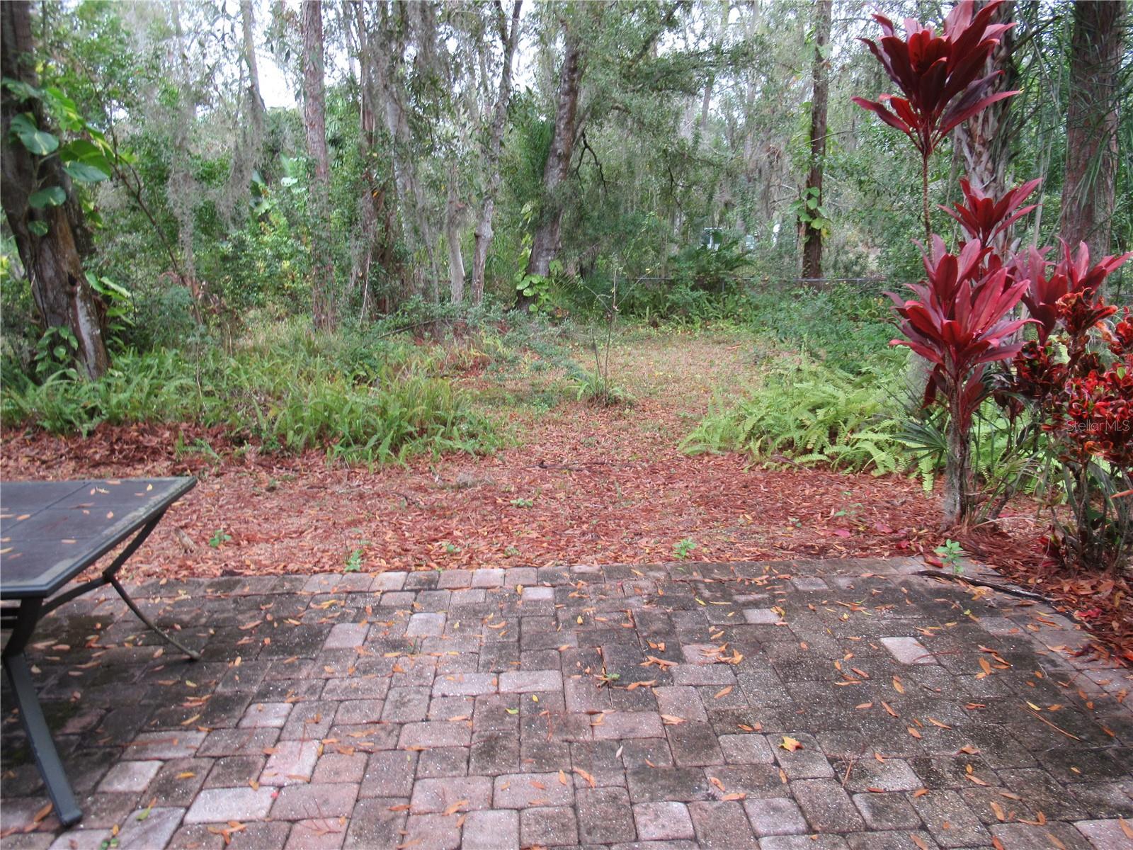 Image 15 of 22 For 10861 Forest Run Drive