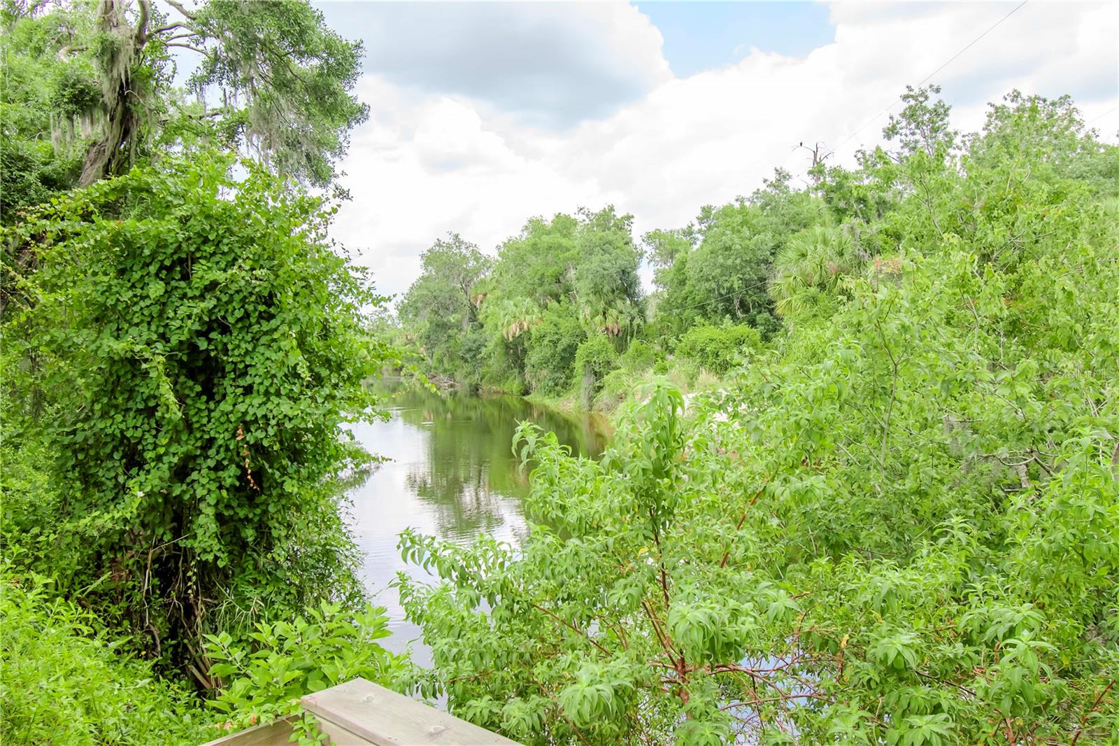 Image 41 of 42 For 1069 River Wind Circle
