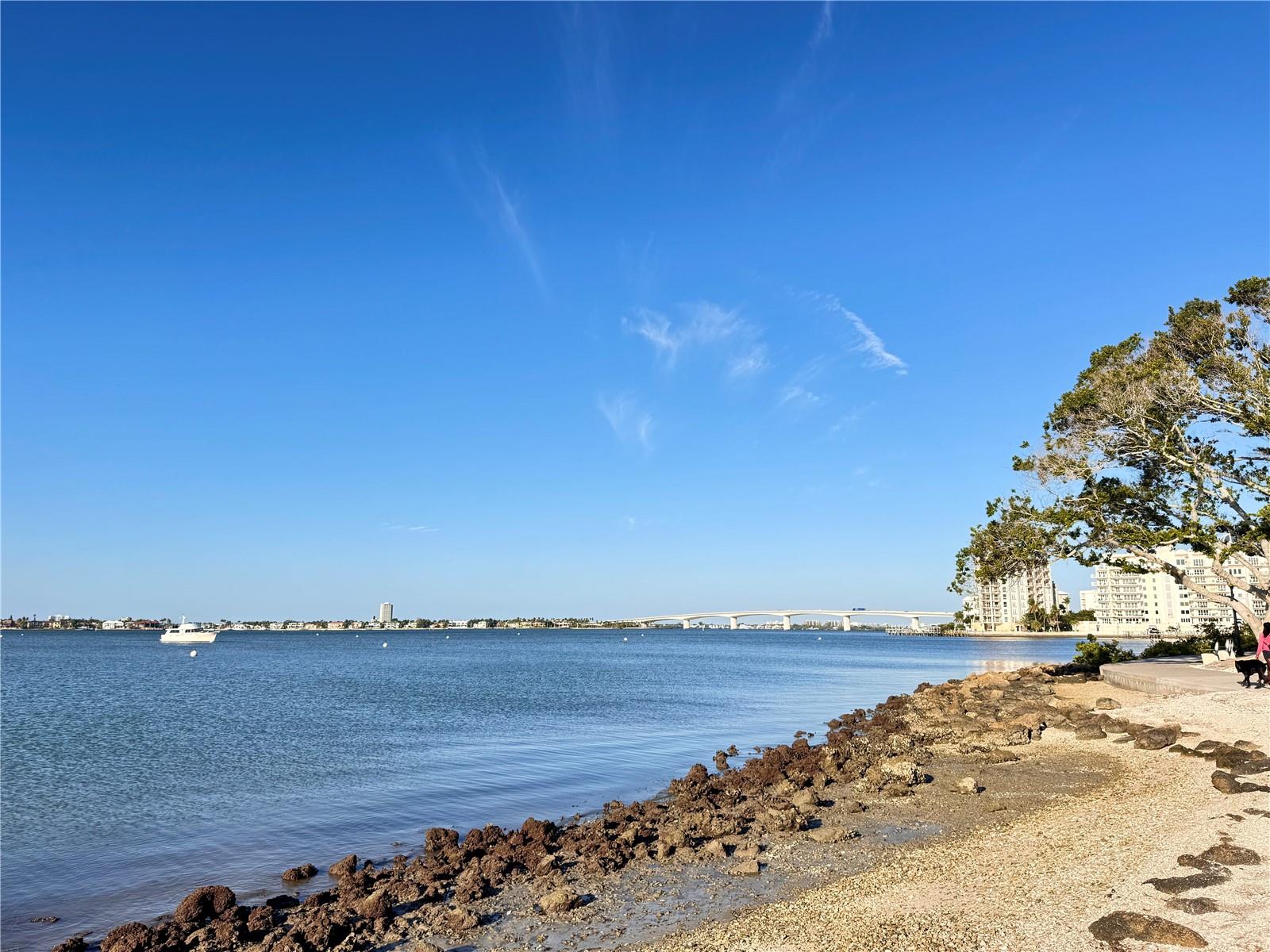 Image 45 of 51 For 711 Palm Avenue 303