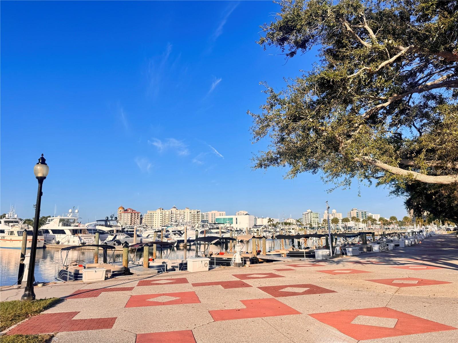 Image 50 of 51 For 711 Palm Avenue 303