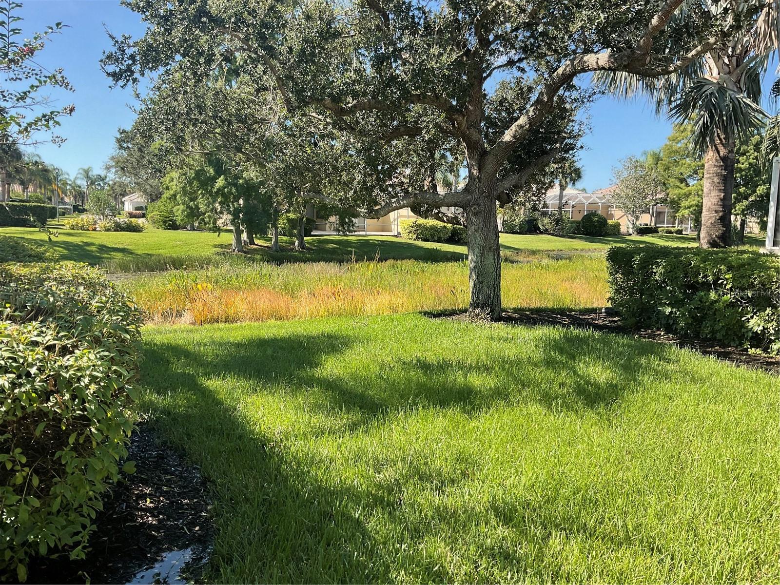 Image 25 of 56 For 5518 Modena Place