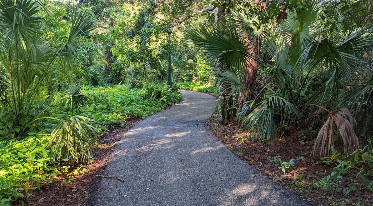 Image 20 of 24 For 2906 Arlington Street