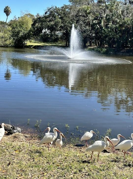 Image 21 of 24 For 2906 Arlington Street