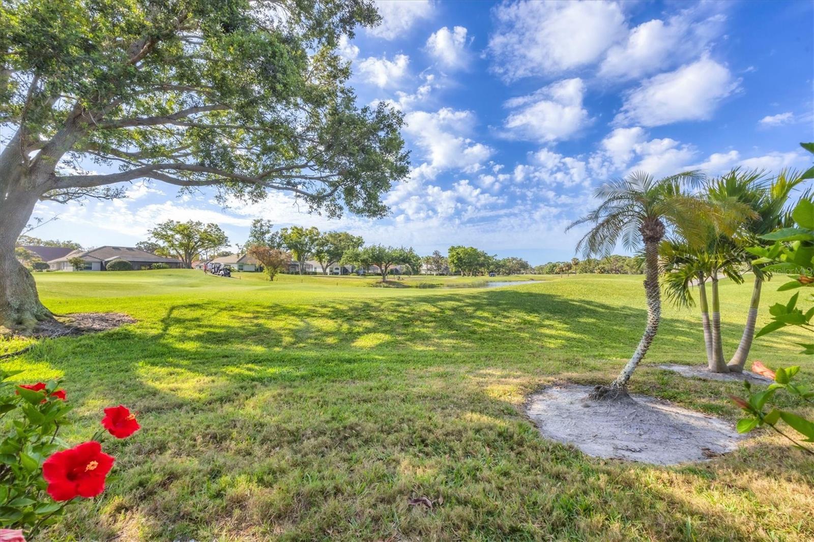 Image 32 of 47 For 2020 Calusa Lakes Boulevard