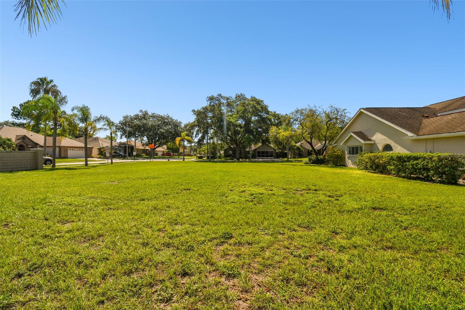 Image 8 of 25 For Calle Rosa Place