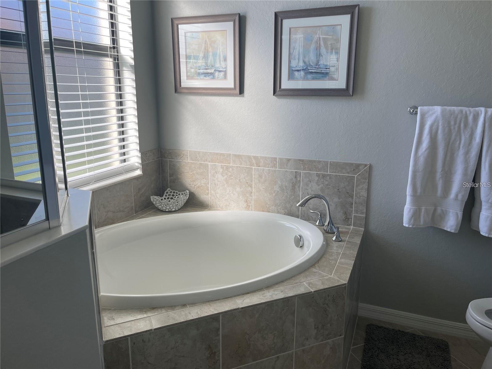 Image 10 of 17 For 12229 Amica Loop