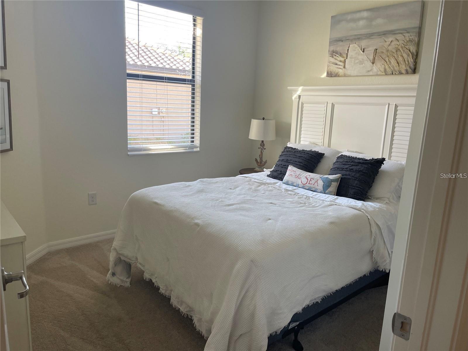 Image 14 of 17 For 12229 Amica Loop