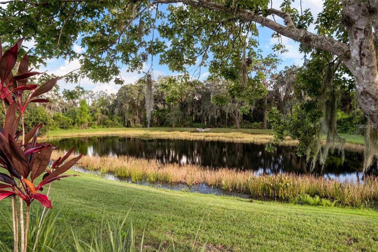 Image 28 of 40 For 12930 Nightshade Place