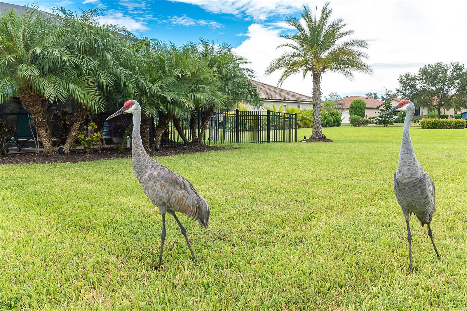 Image 32 of 55 For 4524 Baltry Court