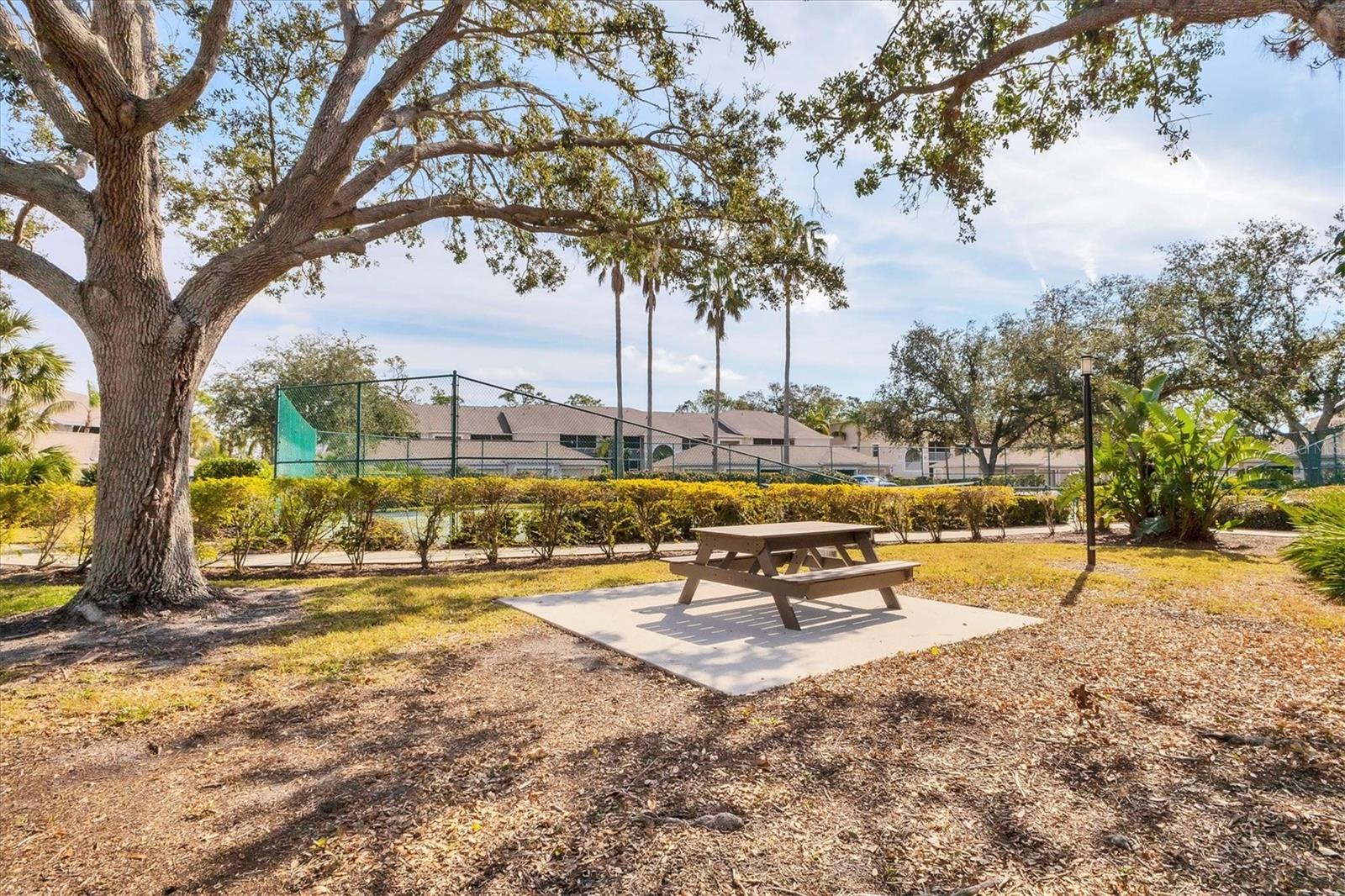Image 45 of 66 For 8941 Veranda Way 523