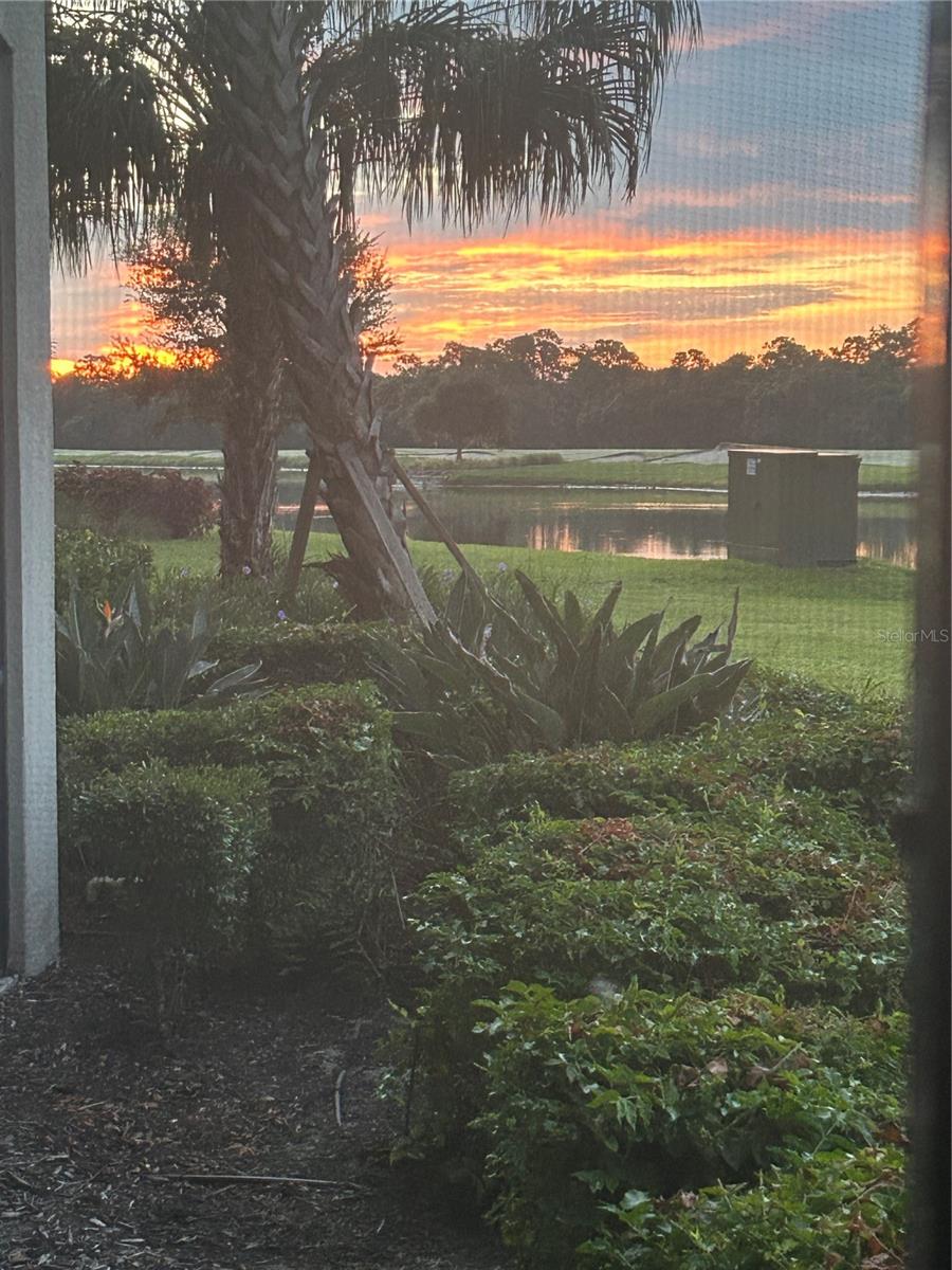 Image 15 of 60 For 16804 Vardon Terrace 103