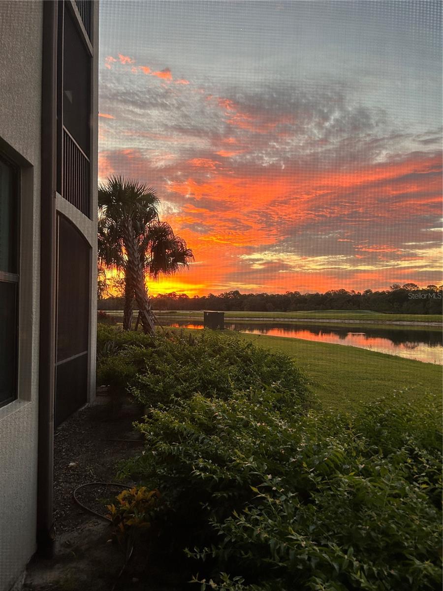 Image 18 of 60 For 16804 Vardon Terrace 103