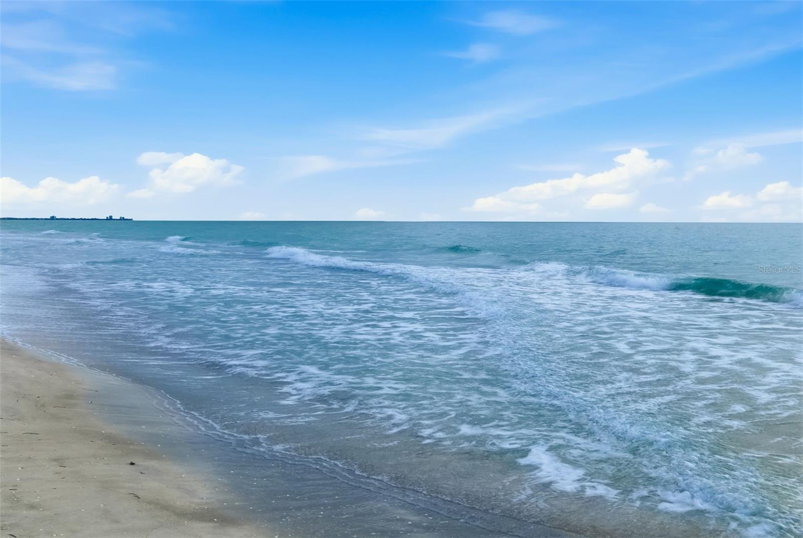 Image 40 of 78 For 1135 Gulf Of Mexico Drive 502