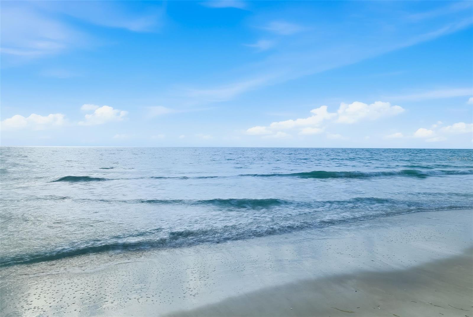 Image 42 of 78 For 1135 Gulf Of Mexico Drive 502