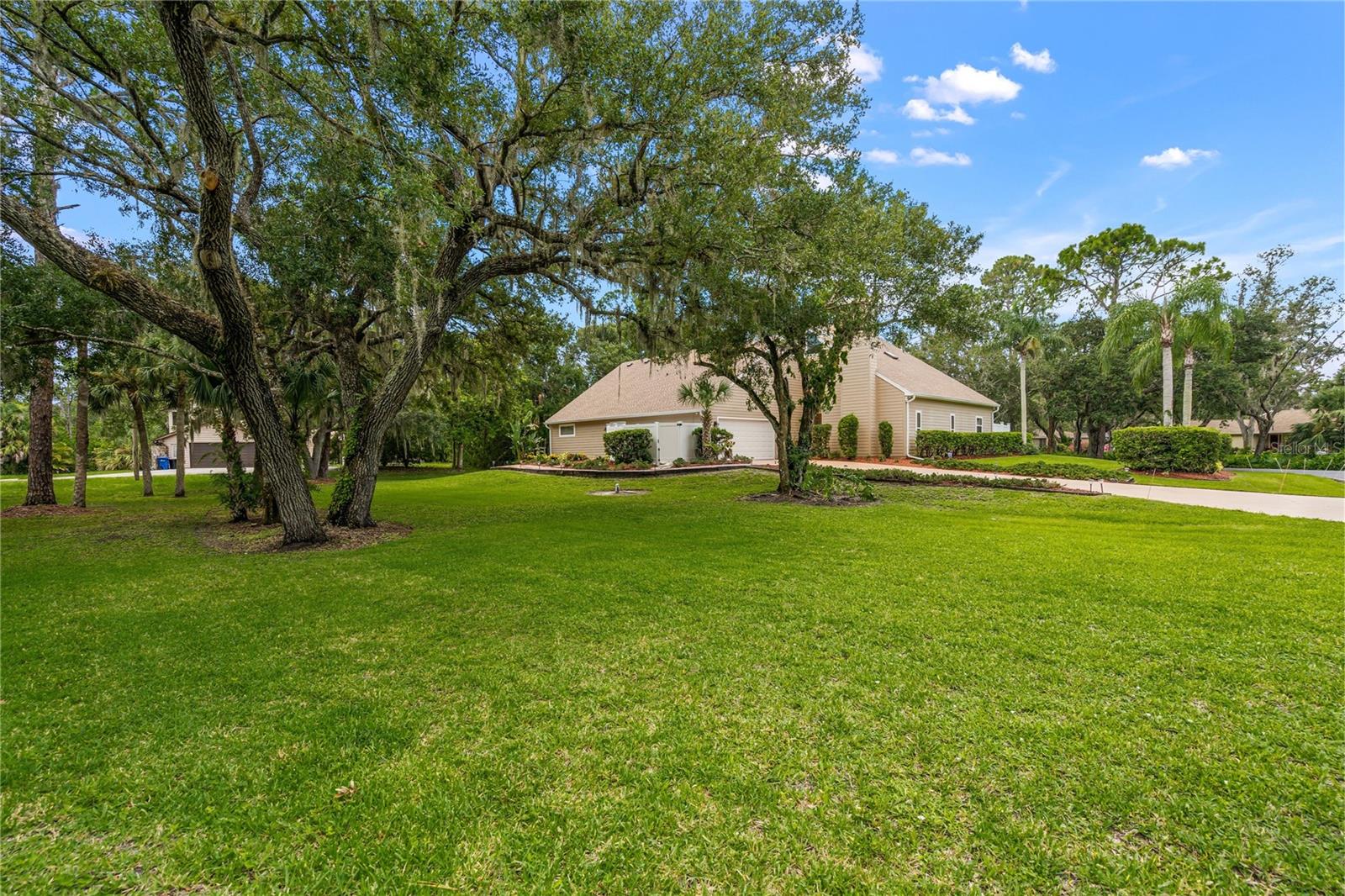 Image 35 of 35 For 5272 Box Turtle Circle