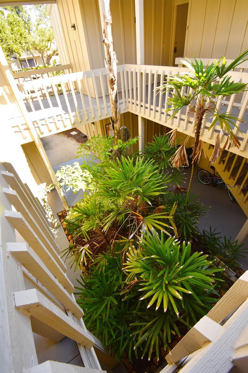 Image 7 of 42 For 2204 Bahia Vista Street D7