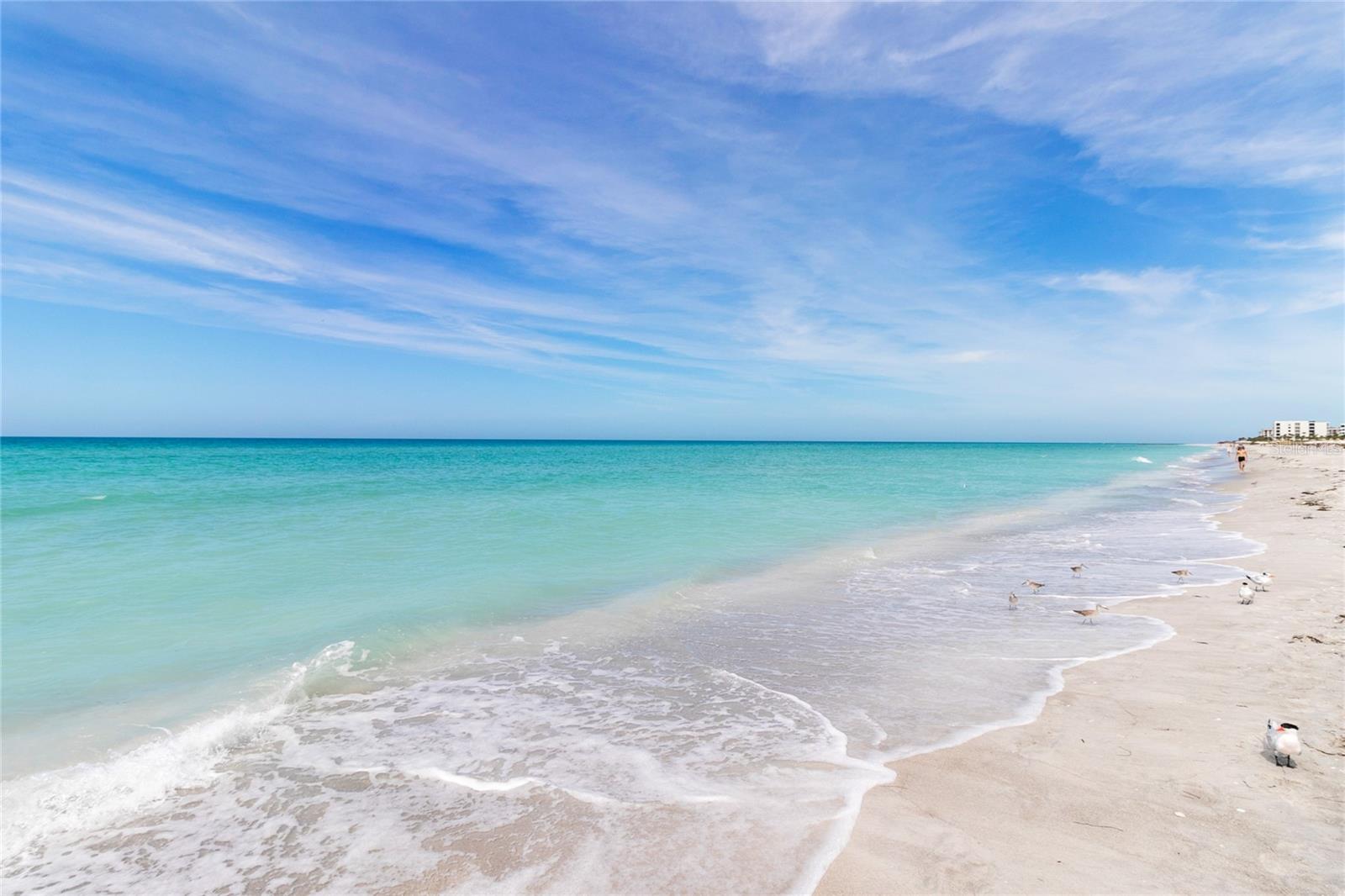 Image 29 of 47 For 1065 Gulf Of Mexico Drive 402