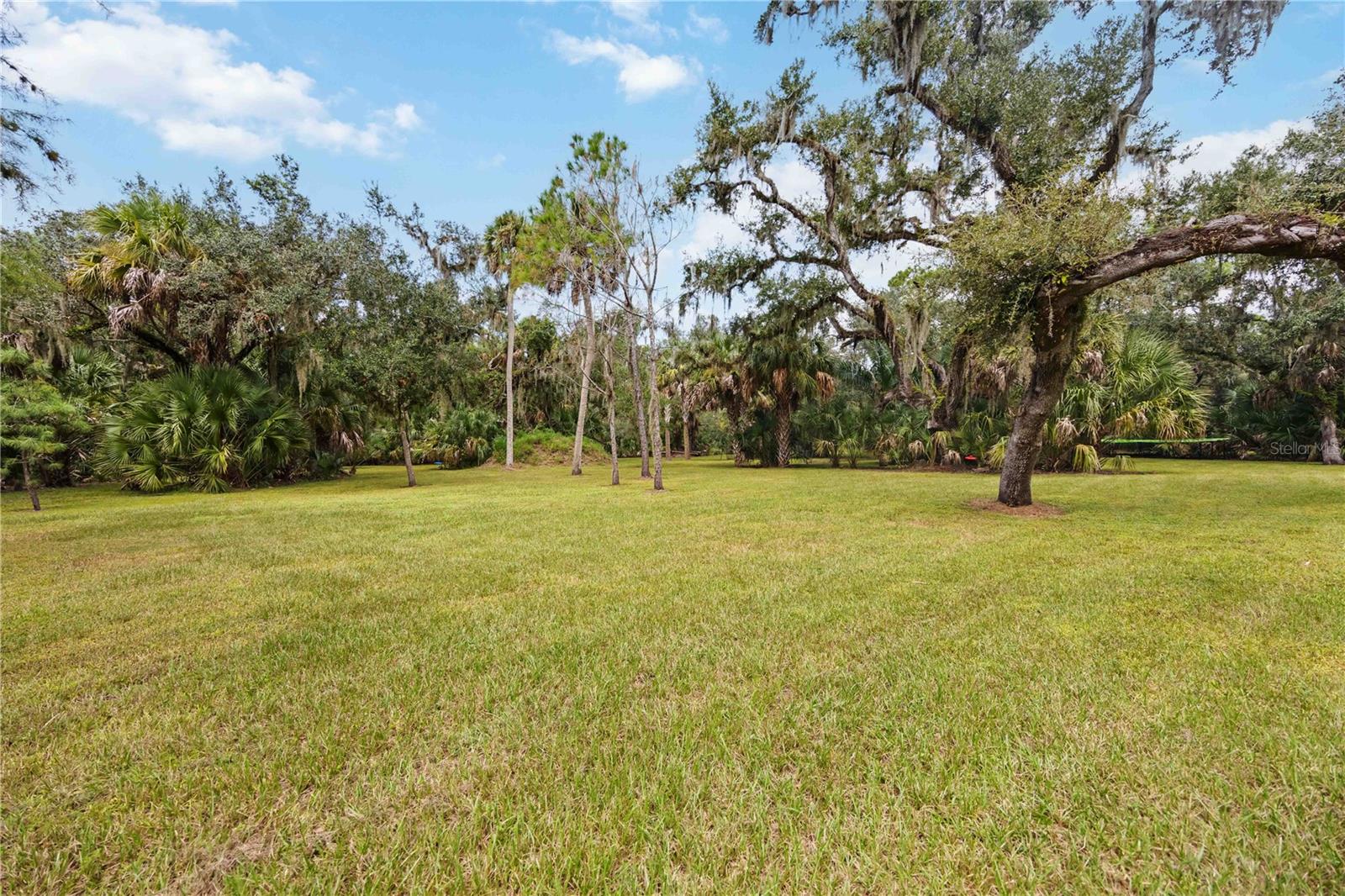 Image 49 of 65 For 14690 Mossy Hammock Lane