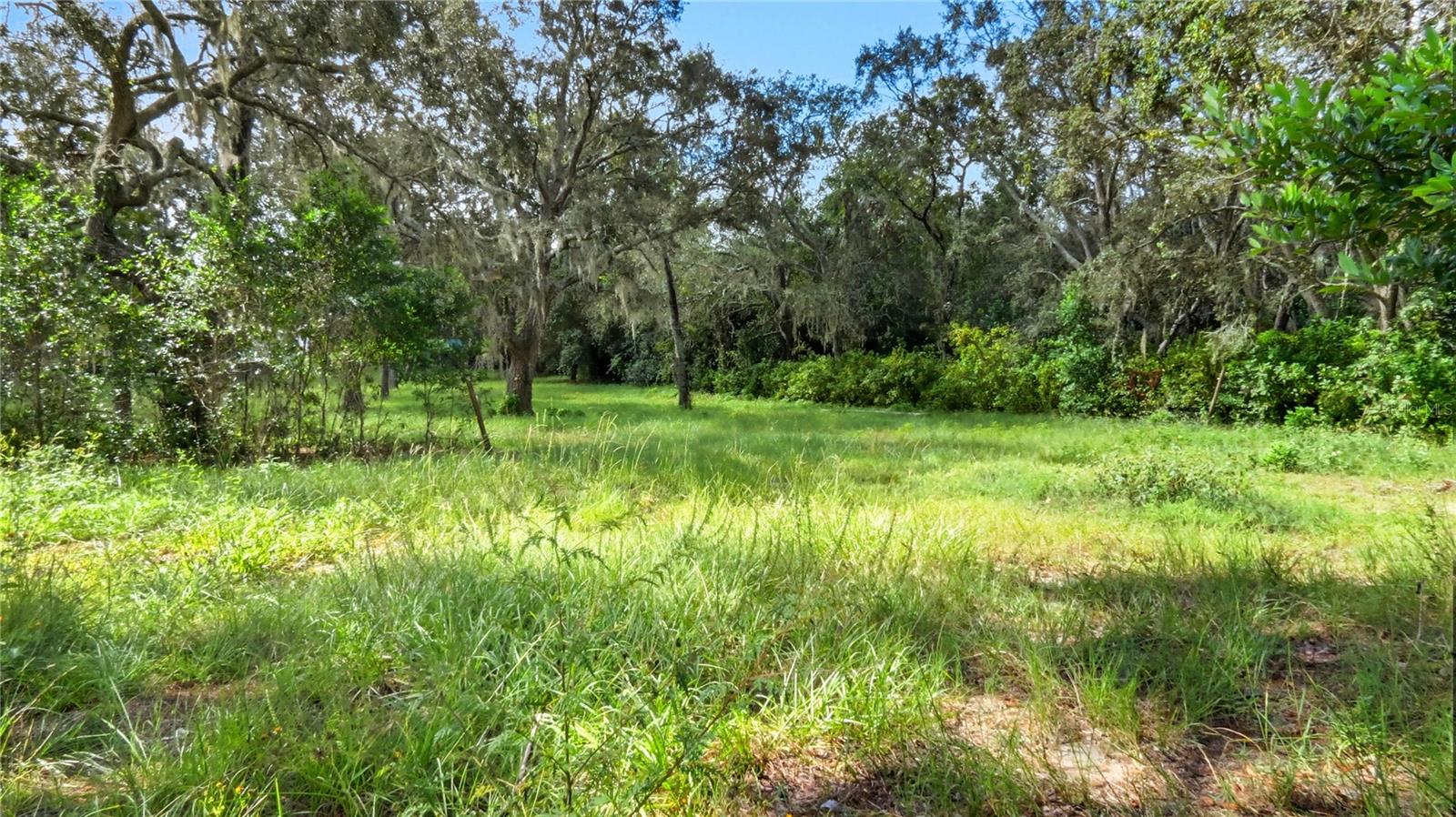 Image 31 of 41 For 16736 Dalberg Drive