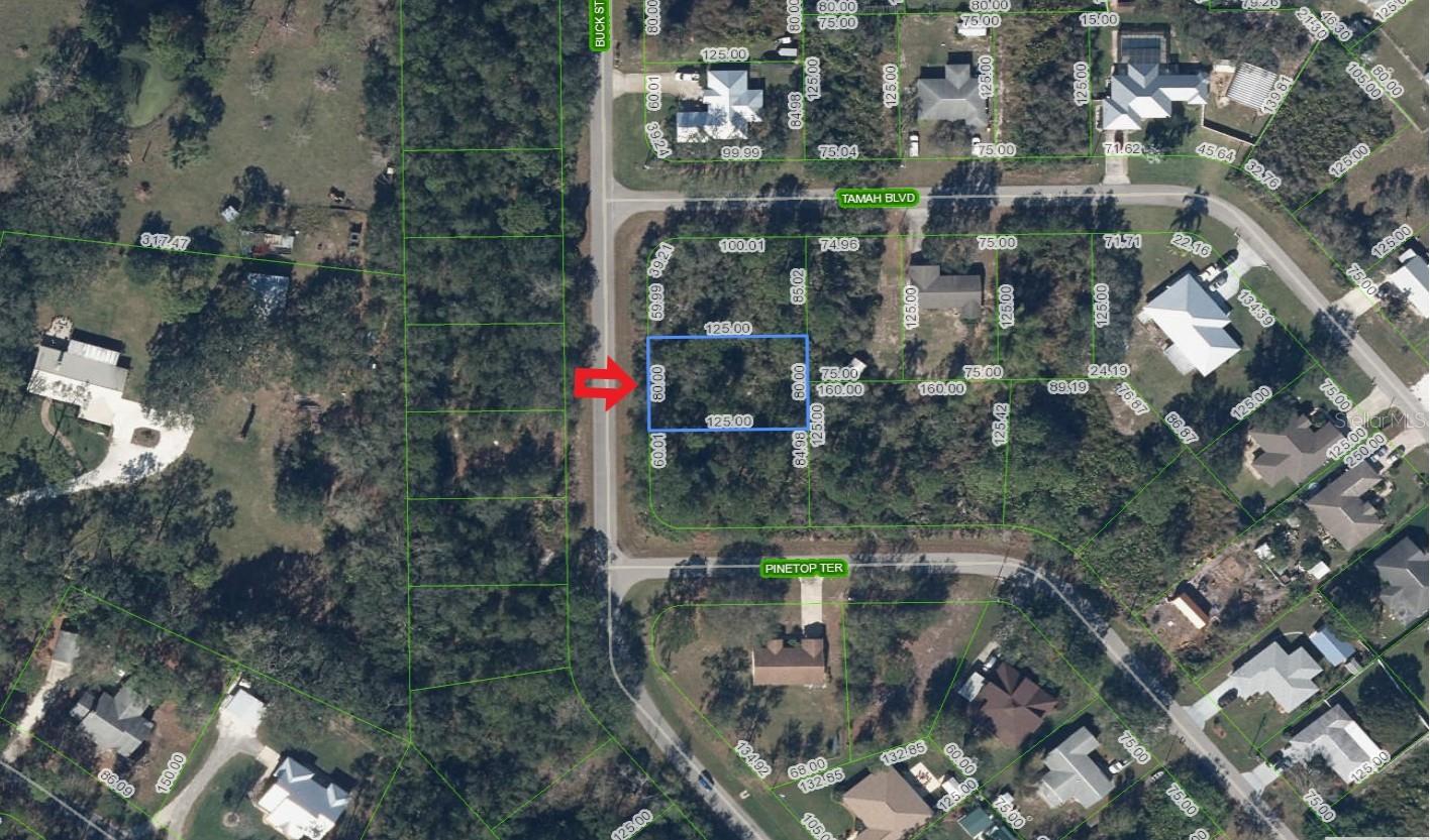 Listing Details for 1541 Buck Street, LAKE PLACID, FL 33852